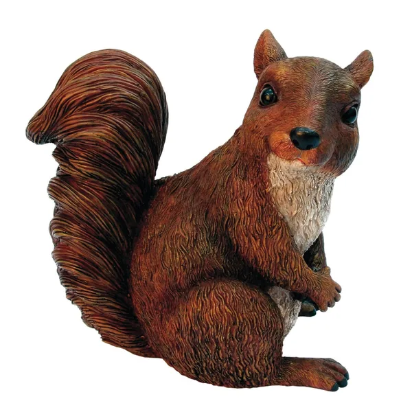 MCarr Squirrel