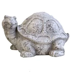 MCarr Turtle Face Sideways