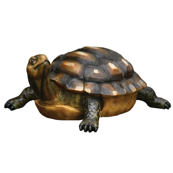 MCarr Turtle