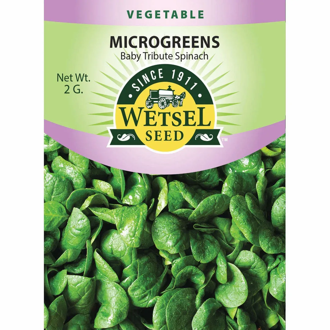 Microgreens, Baby Tribute Spinach 2 Grams - Image 2