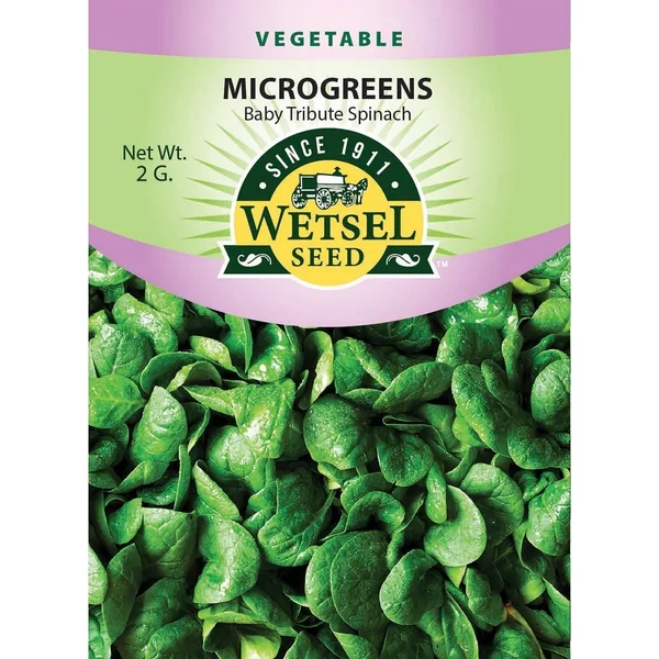 Microgreens, Baby Tribute Spinach 2 Grams