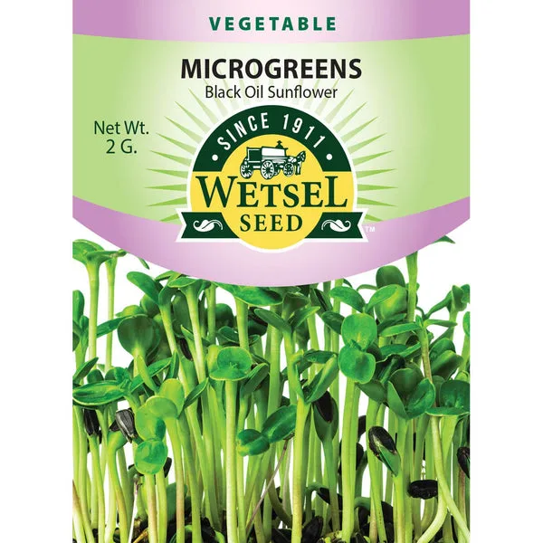 Microgreens, Black Oil Sunflower 2 Grams - Image 2