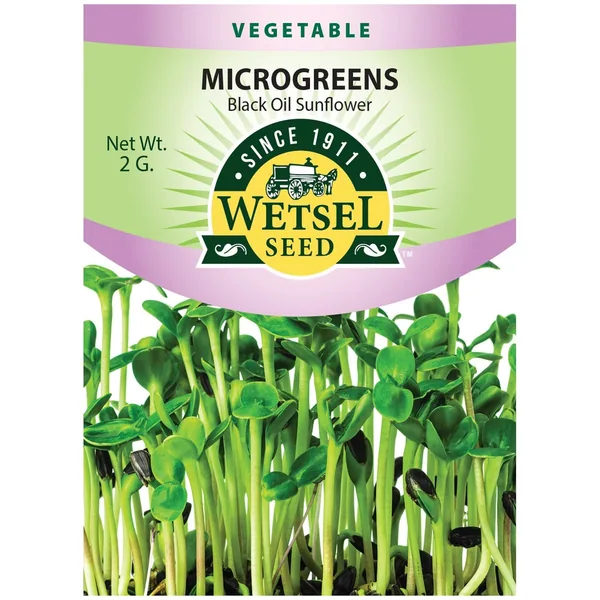 Microgreens, Black Oil Sunflower 2 Grams