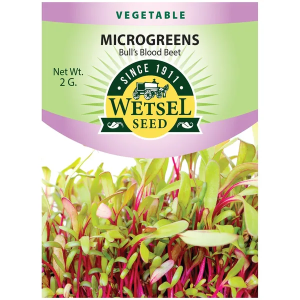Microgreens, Bull's Blood Beet 2 Grams