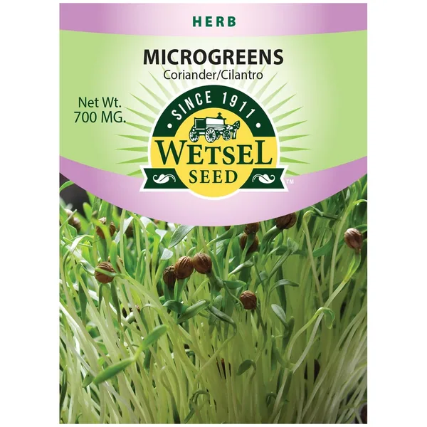 Microgreens, Coriander/ Cilantro 700mg