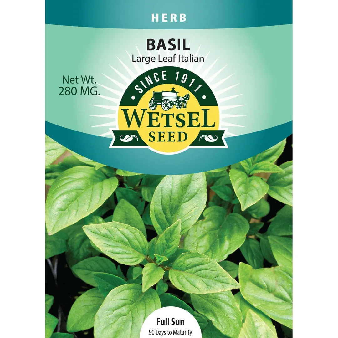 Microgreens, Large Leaf Italian Basil 280mg - Image 2
