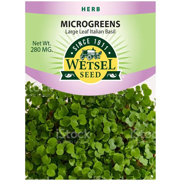 Microgreens, Large Leaf Italian Basil 280mg
