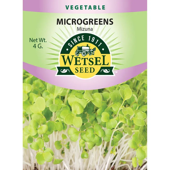Microgreens, Mizuna 4 Gram - Image 2
