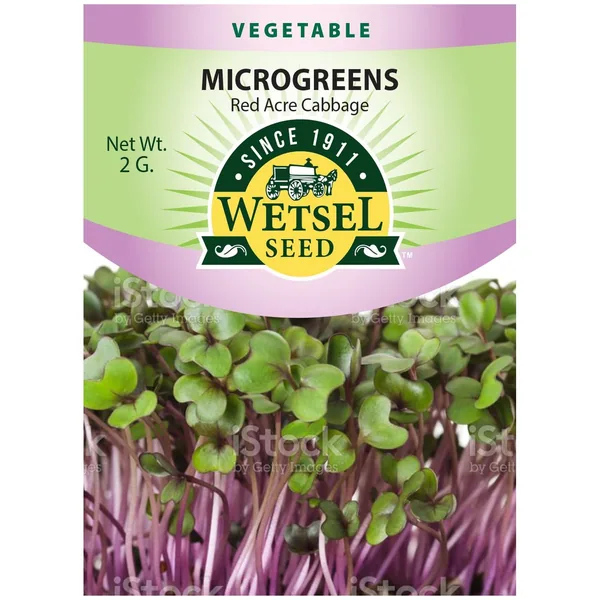 Microgreens, Red Acre Cabbage 2 Grams