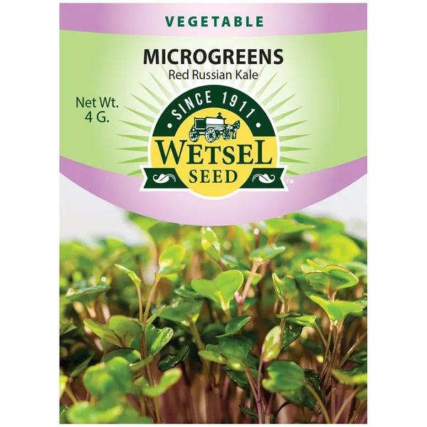 Microgreens, Red Russian Kale 4 Grams