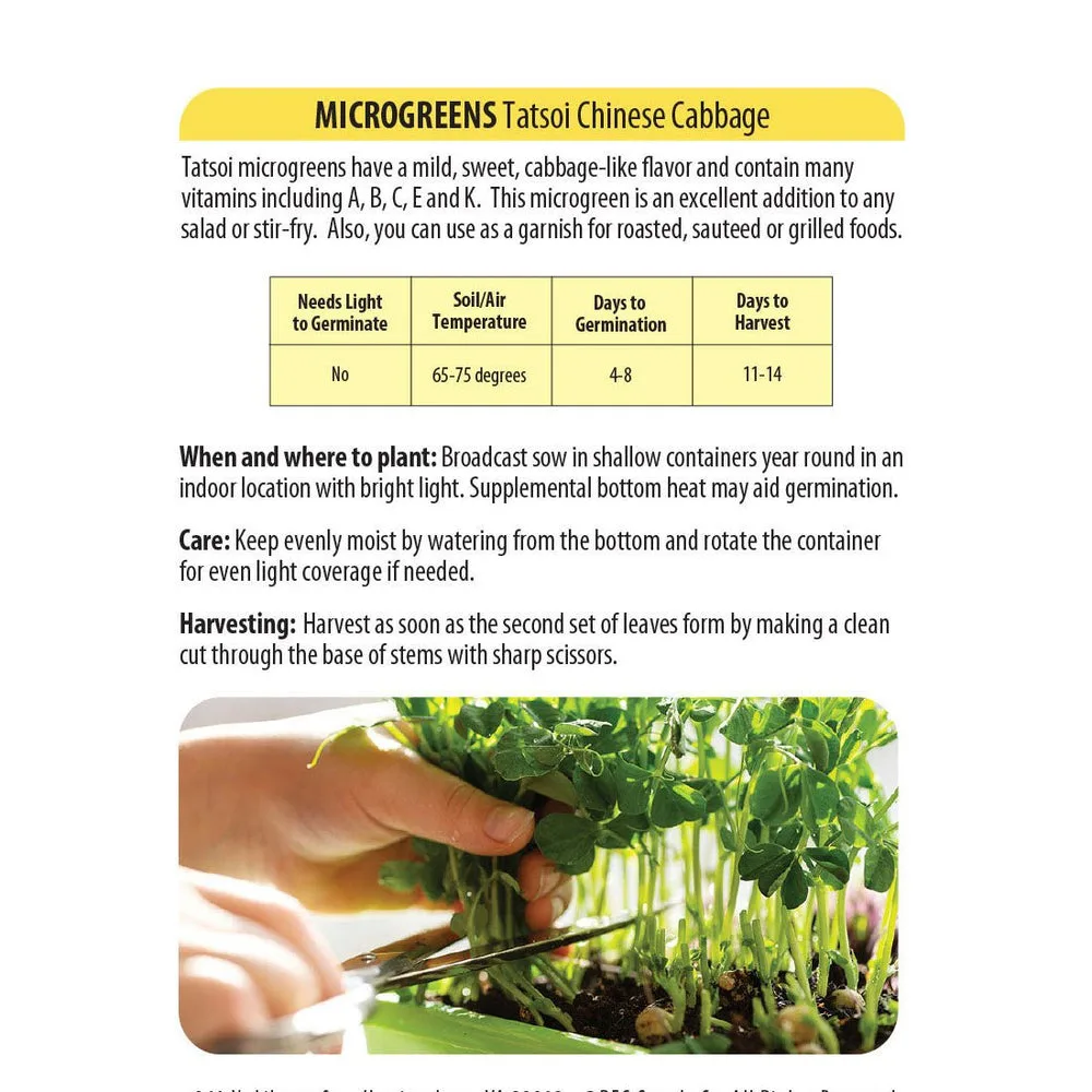 Microgreens, Tatsoi Chinese Cabbage 4 Grams - Image 2