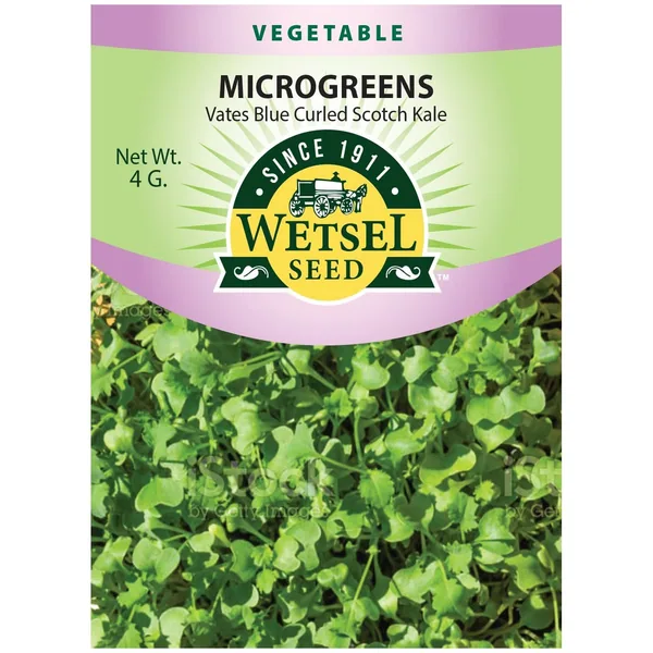 Microgreens, Vates Blue Curled Scotch Kale 4 Grams