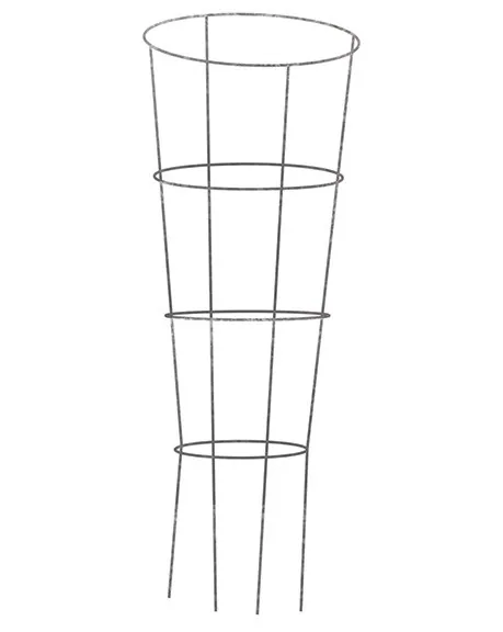 Midwest Wire Works 54" Cage 4 Ring 4 Leg
