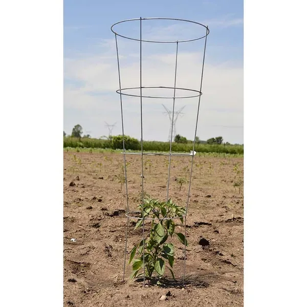 Midwest Wire Works 54" Heavy Duty Cage 4 Ring 4 Leg - Image 2