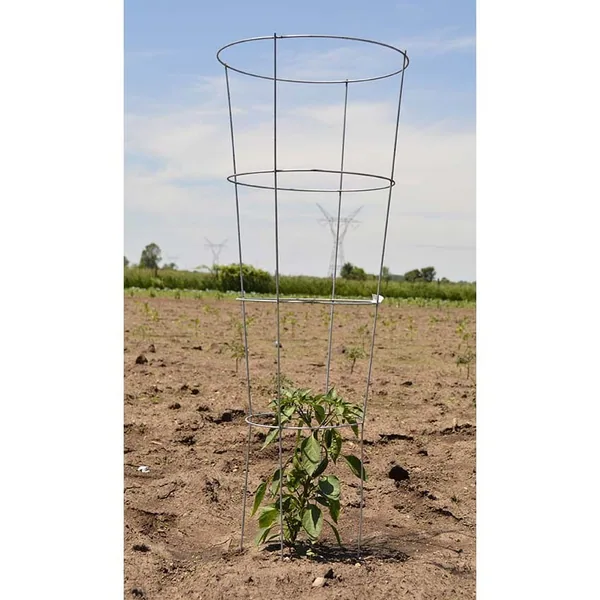 Midwest Wire Works 54" Heavy Duty Cage 4 Ring 4 Leg