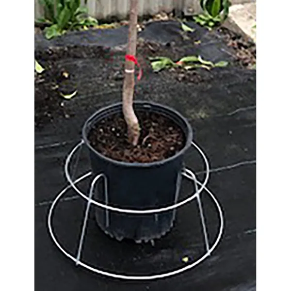 Midwest Wire Works Heavy Duty Pot Stabilizer