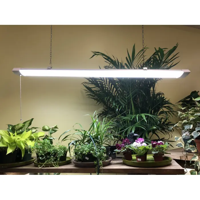 Miracle Led 4-Foot Full Spectrum Daylight LED Grow Light, 55W, Lightweight, Hangable, Linkable for Easy Expansion