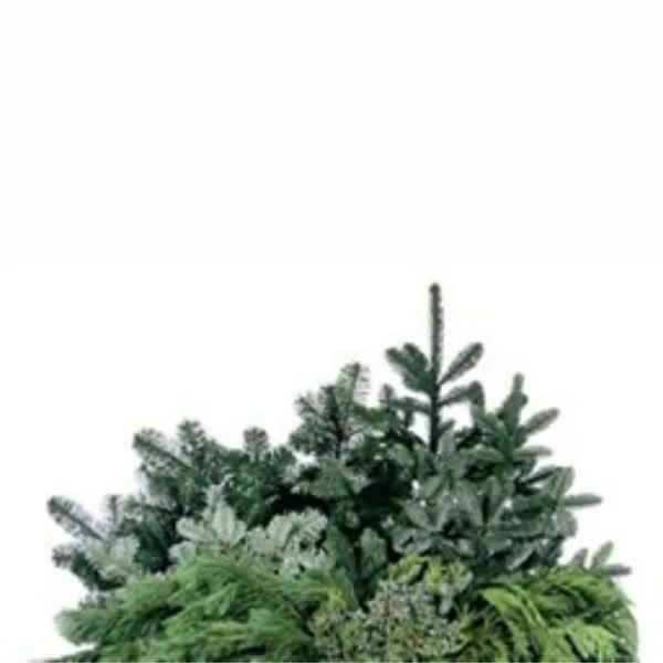Mixed Greens 1/2oz