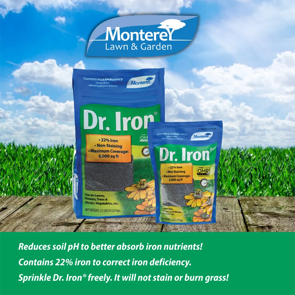 Monterey 21 lbs Dr Iron - Image 2