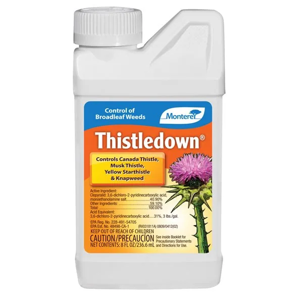 Monterey.5pt Thistledown