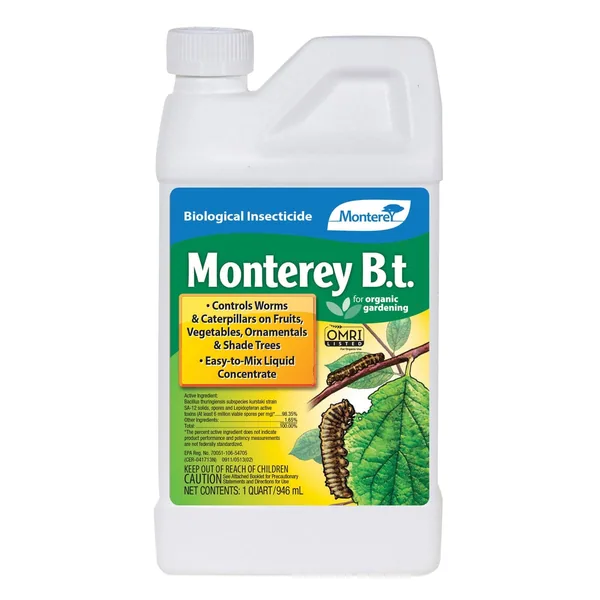 Monterey B.t.