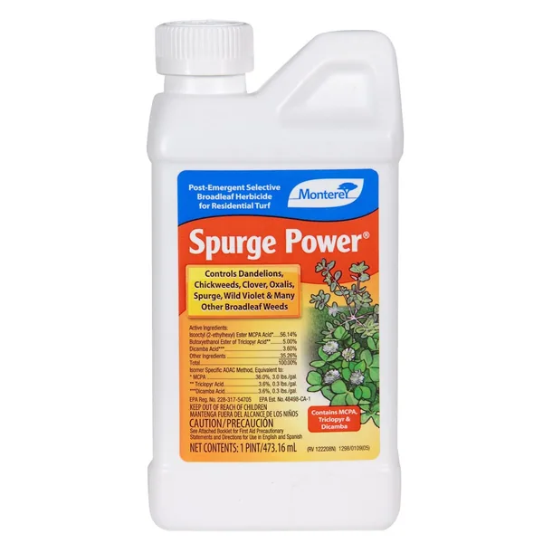 Monterey Pt Spurge Power Oxalis Clover Dandelion — Case of 6
