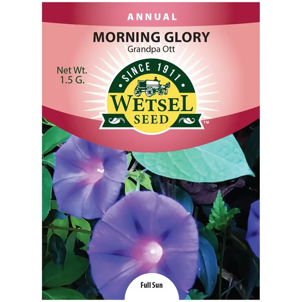 Morning Glory, Grandpa Ott 1.5 Grams