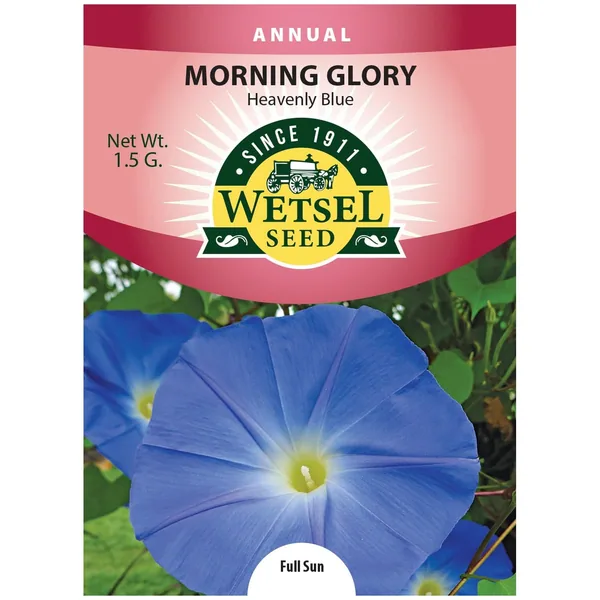 Morning Glory, Heavenly Blue 1.5 Grams