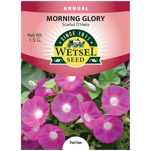 Morning Glory, Scarlet O'hara 1.5 Grams