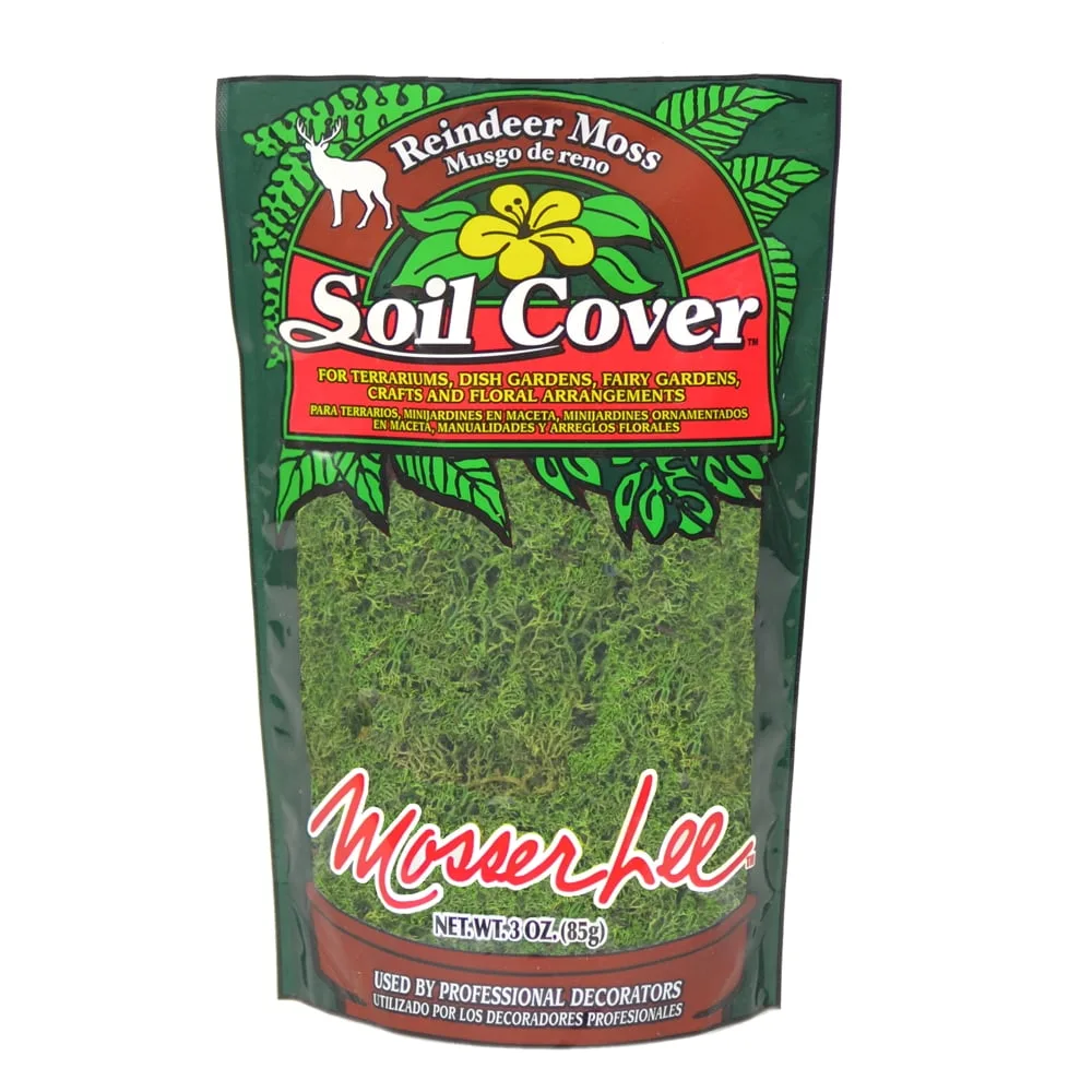 Mosser 3oz Reindeer Moss Dark Green - Image 2