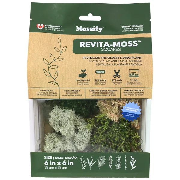 Mossify Revita-Moss Mixed Pack