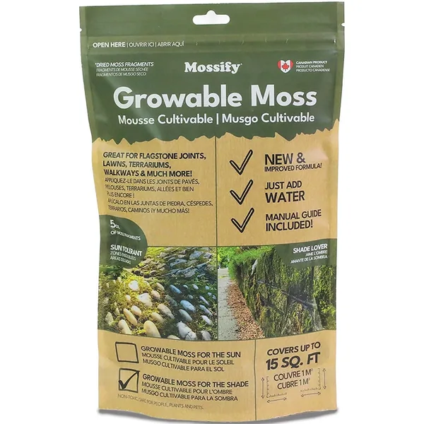 Mossify Sun Growable Moss