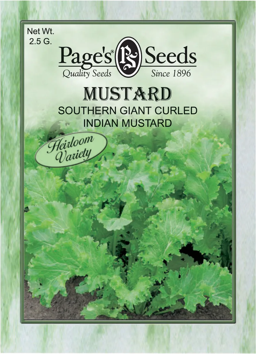 Mustard, Southern Giant Curled 4 Grams - Image 2