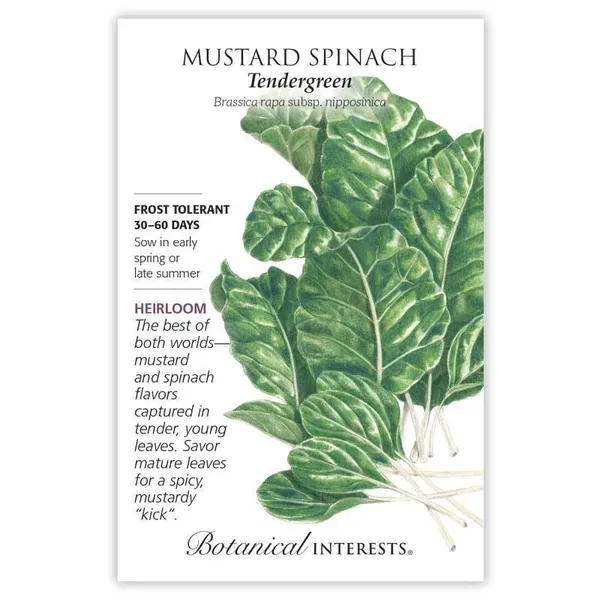 Mustard Spinach, Tendergreen 1/2oz - Image 2