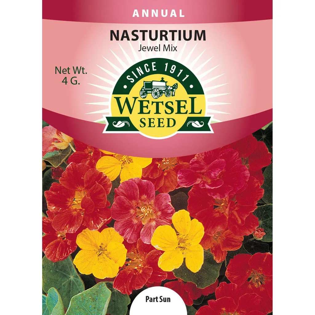 Nasturtium, Jewel Mix 4 Grams - Image 2