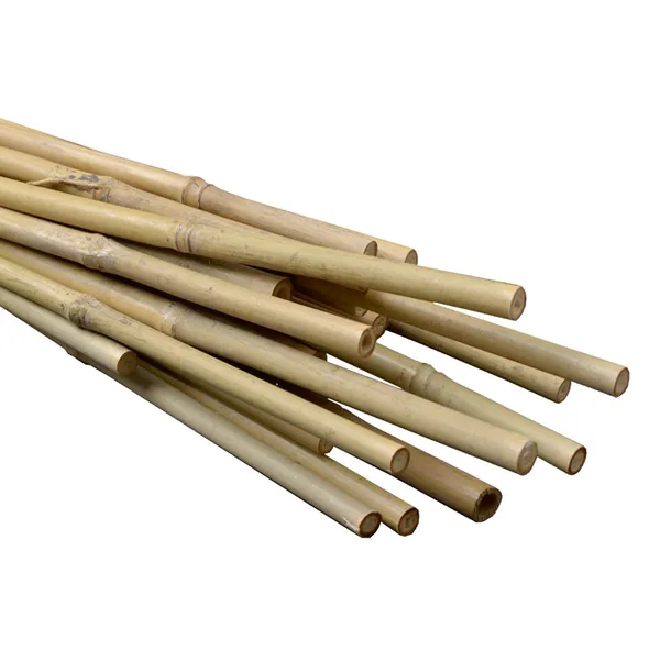 Natural bamboo stakes (800841)