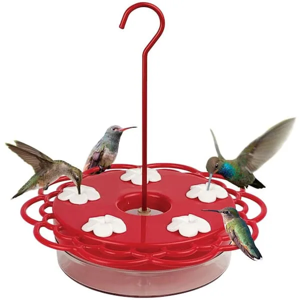 Natures Way 13oz 2-N-1 Plastic Dish Hummingbird Feeder - Image 2