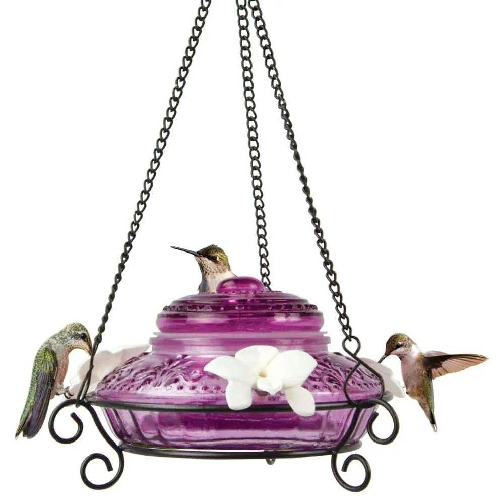 Natures Way 14oz Antique Glass Top-Fill Hummingbird Feeder Plum - Image 2
