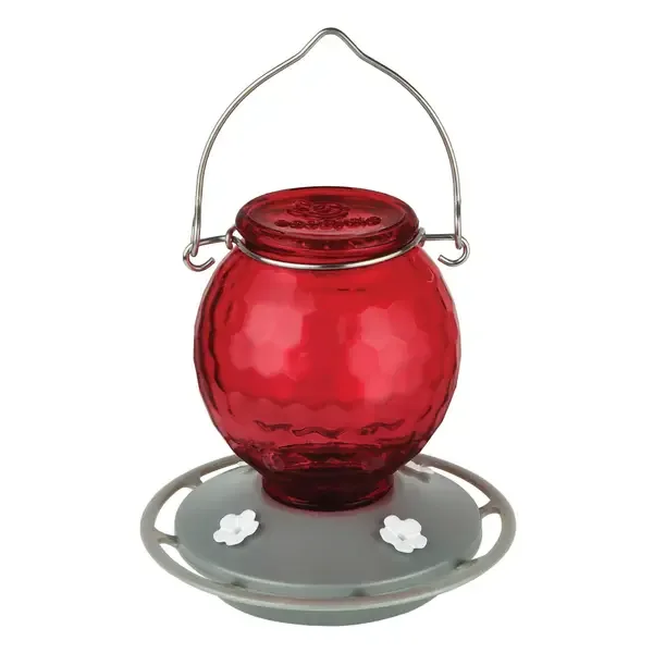 Natures Way 16oz EcoCycle Crimson Comb Recycled Gl - Image 2