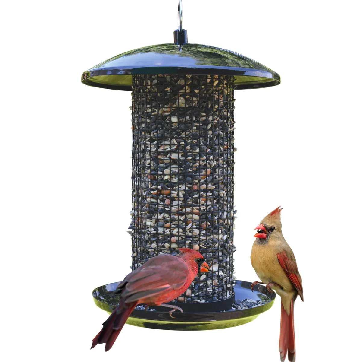 Natures Way 2.75qt Metal Mesh Mixed Seed and Peanut Bird Feeder Midnight - Image 2