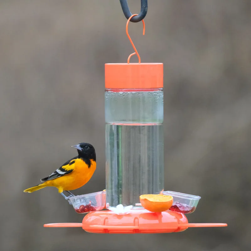 Natures Way 30oz Orange Blossom Glass Oriole Feeder with Jelly Attachments - Image 2