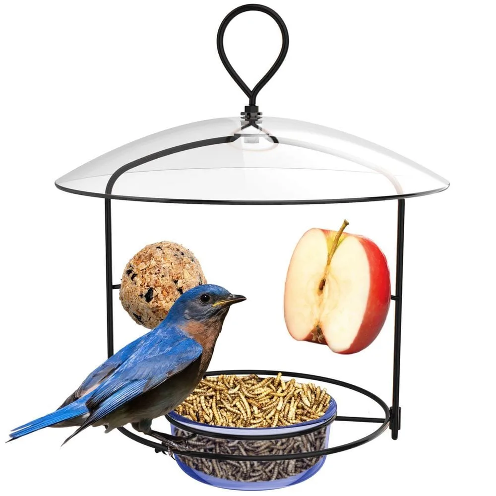 Natures Way Bluebird Feeder Bluebird Buffet - Image 2