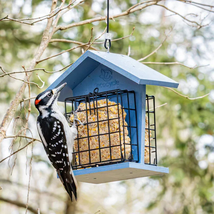 Natures Way EcoCycle Suet Snacker Bird Cake Feeder - Holds 2 Cakes - Image 2