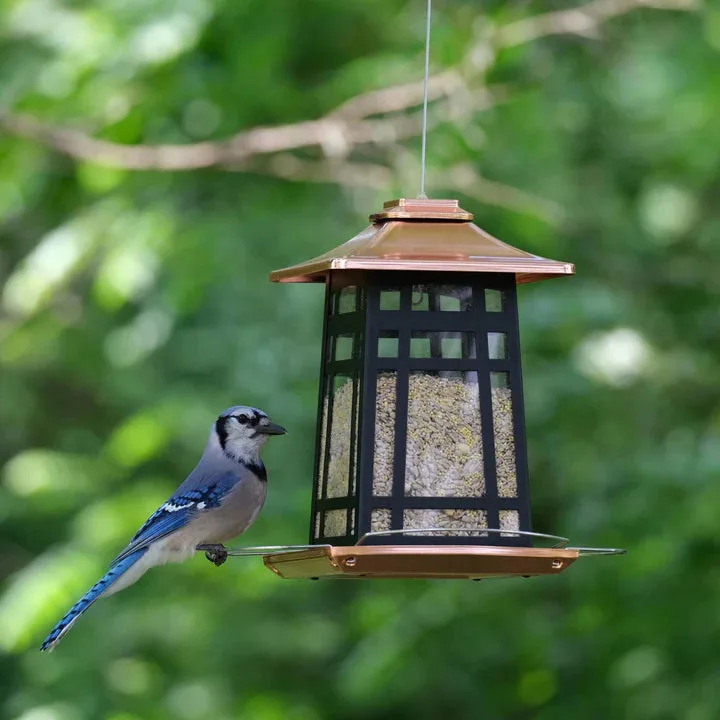 Natures Way Metal Gazebo Bird Feeder Copper Arches 3.3qt - Image 2