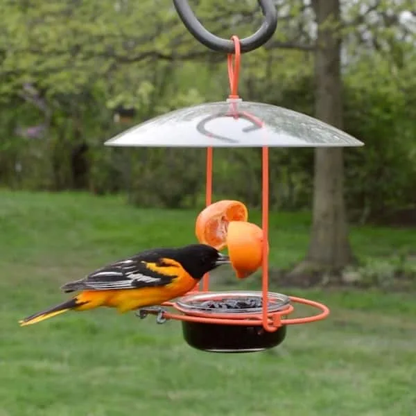 Natures Way Wire Oriole Feeder - Image 2