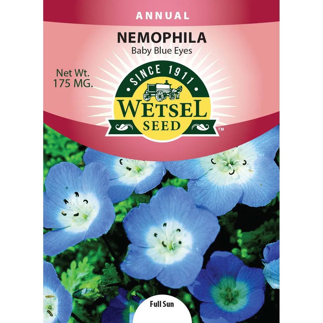 Nemophila, Baby Blue Eyes 175mg - Image 2