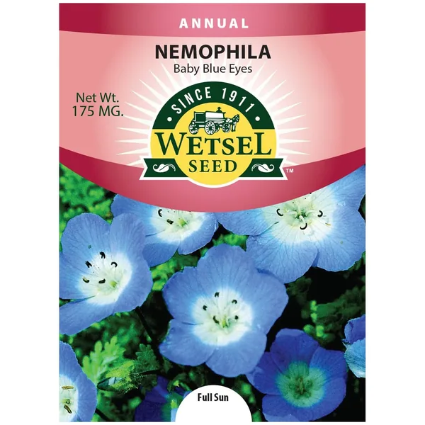 Nemophila, Baby Blue Eyes 175mg