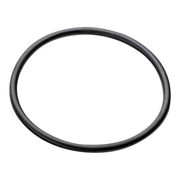 Net O-Ring For 3/4in Arkal Filter 25ap530140
