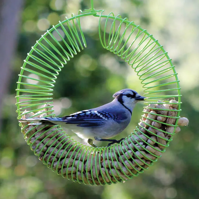 New Age Whole Peanut & Suet Ball Wreath Bird Feeder with Weather Shield - Image 2