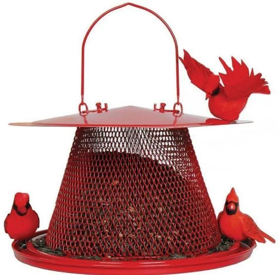 NoNo Red Cardinal Feeder - Image 2